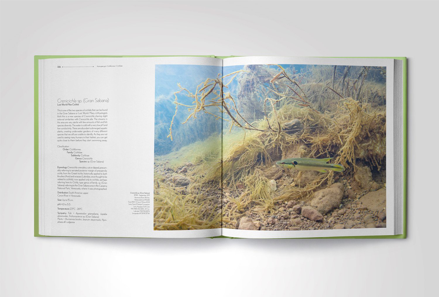 Fishes of the Orinoco in the Wild the most anticipated fish book