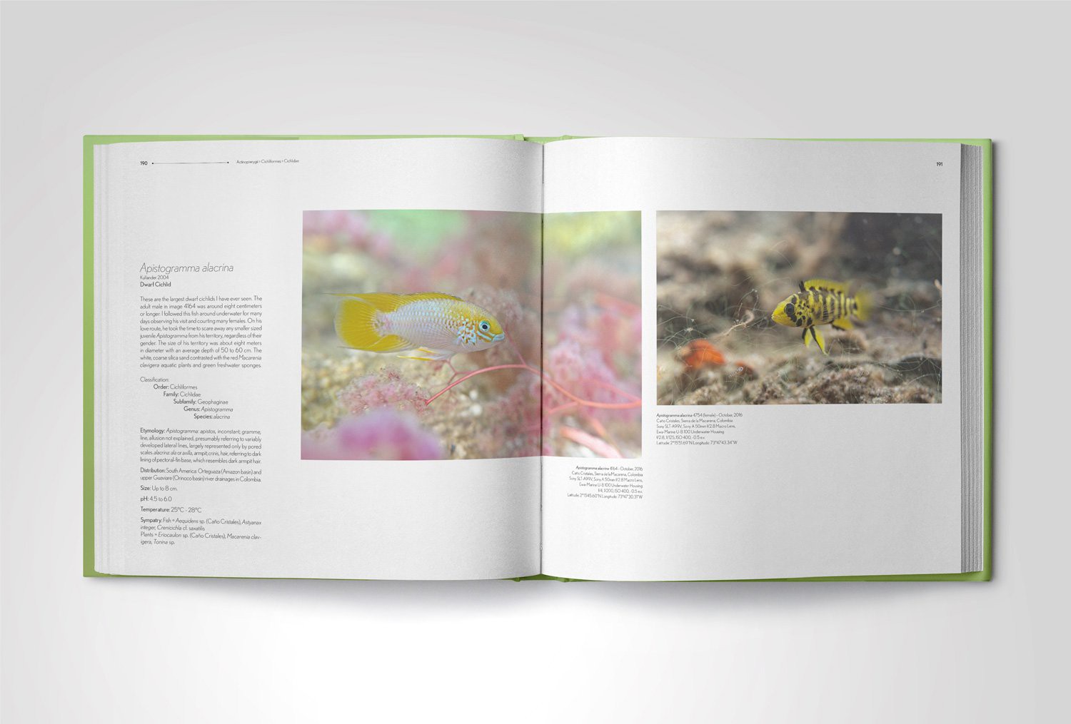 Fishes of the Orinoco in the Wild the most anticipated fish book
